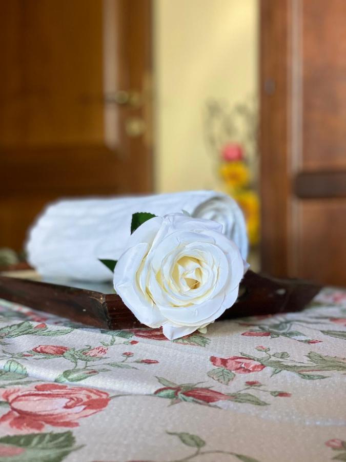 Masso Alle Rose Di Santarsiero Serena มอนตาโยเน ภายนอก รูปภาพ